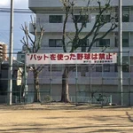 「バットを使った野球は禁止」!？野球のルールを知らないの？!