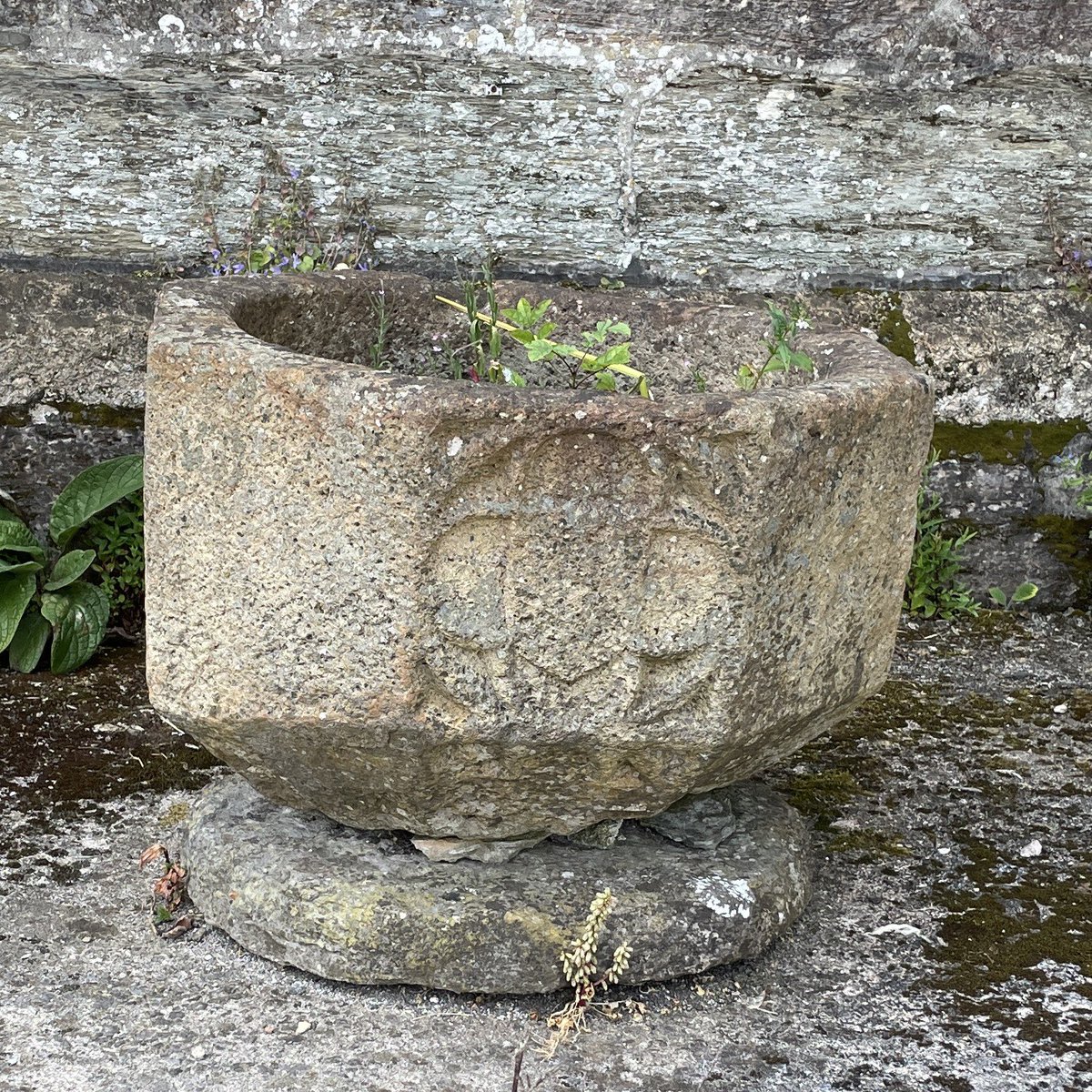 There are three fonts at St George’s Church Modbury. This one which stands outside remains my favourite. Perhaps 15th century? Was this the font where Katherine Champernowne and her brothers and sisters were baptised? #FontsonFriday