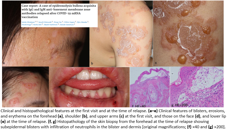 Dr John B. tweet media