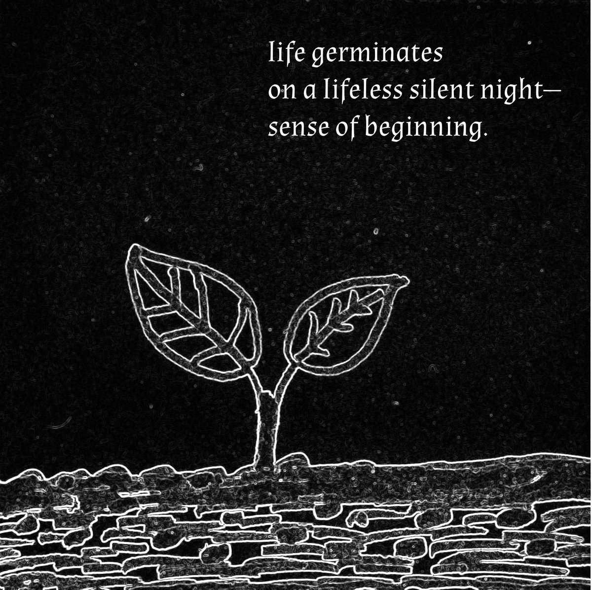 life germinates
on a lifeless silent night—
sense of beginning. 
#haiga 
#haiku
