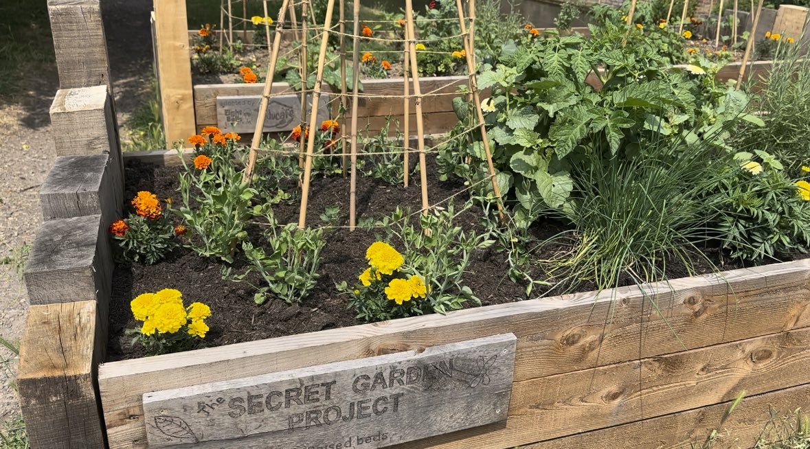 widebeamandwel1's tweet photo. We love finding these secret garden projects ☺️ #secretgarden #natureproject #flowers https://t.co/8bVQItKQxd
