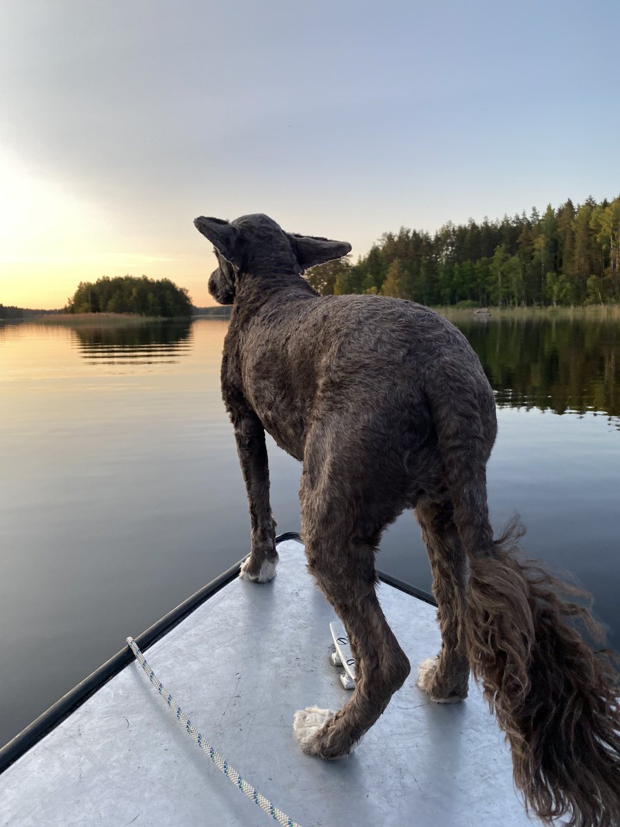 Hyvää juhannusta ja yötöntä
Yötä! 🌼☀️🌼