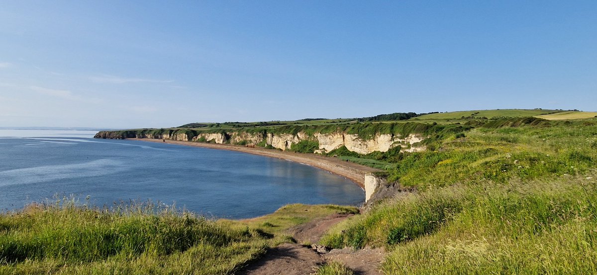 EcoSharon (@SharonEnv1) on Twitter photo 2023-06-23 07:26:45 Just love our Northeast coast and yesterdays sea was like a stunning millpond. πππ #ISeetheSea #ThinkOcean #WorldOceanDay Just love our Northeast coast and yesterdays sea was like a stunning millpond. πππ #ISeetheSea #ThinkOcean #WorldOceanDay