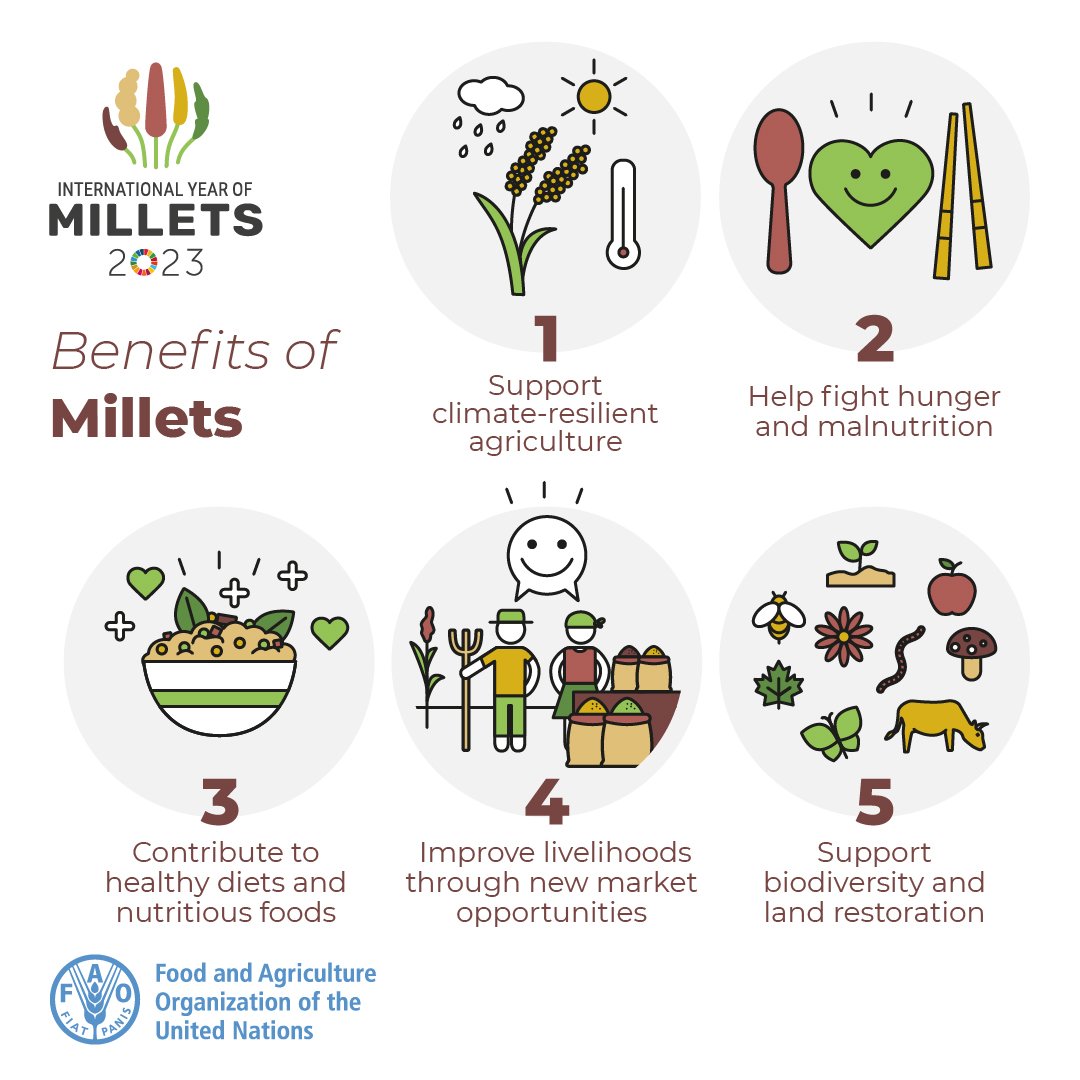 Five reasons to include millets in your daily diet. #millets #IYM2023 #ShreeAnna #IYM2023 #YearofMillets