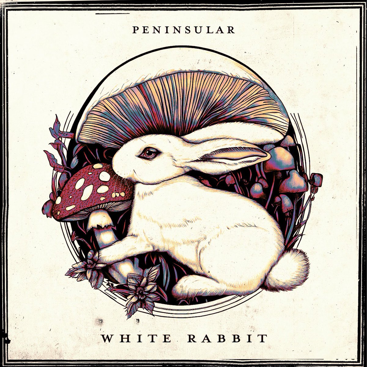 <a href="/wearepeninsular/">Peninsular</a> estrenan White Rabbit, un single donde beben de la psicodelia y presentan un sonido más oscuro.

🎧: open.spotify.com/track/52AxnbHM…