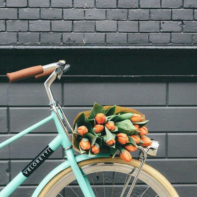 DariushIranmehr's tweet image. #غمگین نباشید؛
چرا که #خوشبختی می‌تواند
از #درون #تلخ‌ترین روزهای #زندگی شما، زاده شود 

👤 #استیو_جابز