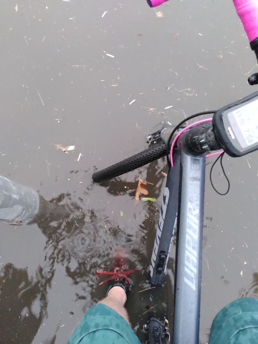 Obwohl es ja sehr verlockt, verzichten wir heute einfach darauf, Schuldige für die #Überschwemmungen zu suchen und beglücken euch mit einem Fahrrad-Foto aus Braunschweig. Videos von schwimmenden Autos gibts ja genug.
