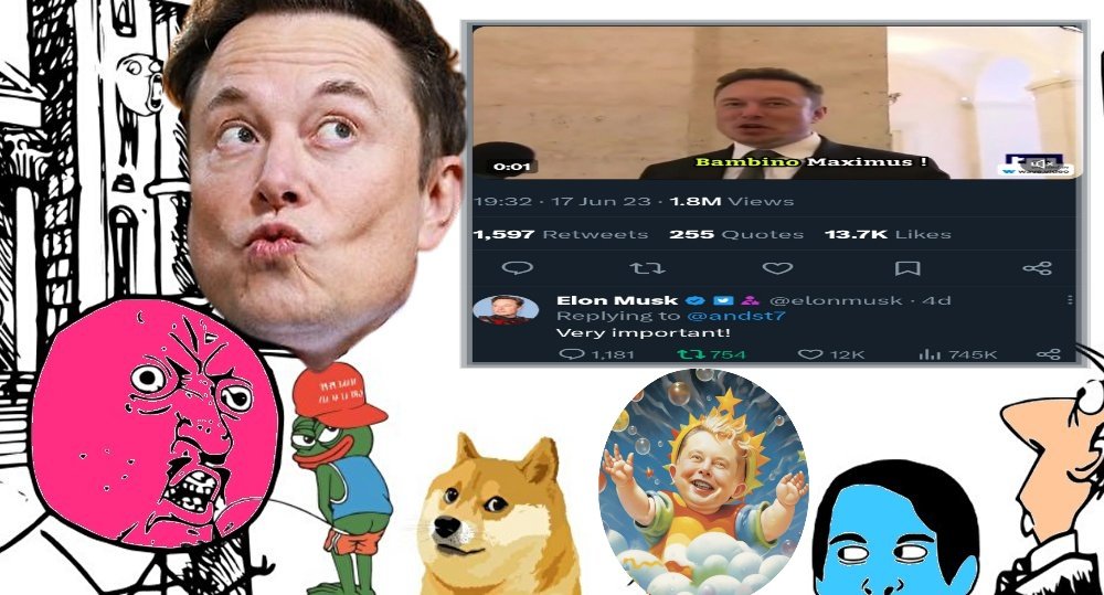 BAMBINOBsc's tweet photo. #BambinoMaximus is the next  #PEPE https://t.co/pLlj5vspGV