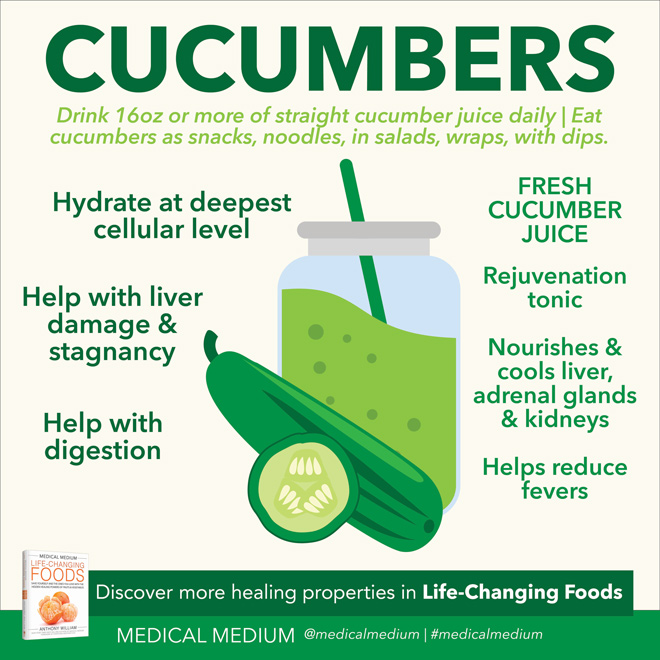 Cucumbers: Fever Reducer 

Cucumbers have a fountain-of-youth effect, hydrating us at the deepest cellular level possible.

For more information on cucumbers and the symptoms and conditions they can help with: medicalmedium.com/blog/cucumbers…