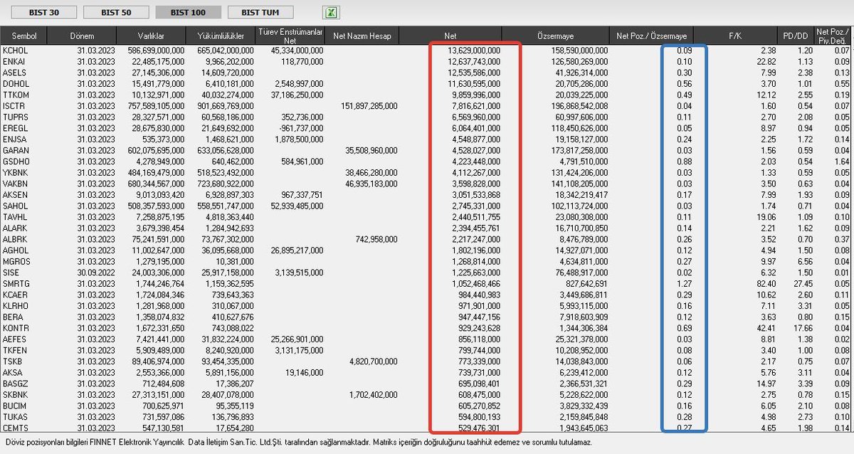 Net döviz pozisyonu artı olan Şirketler ve özsermayesine oranları.