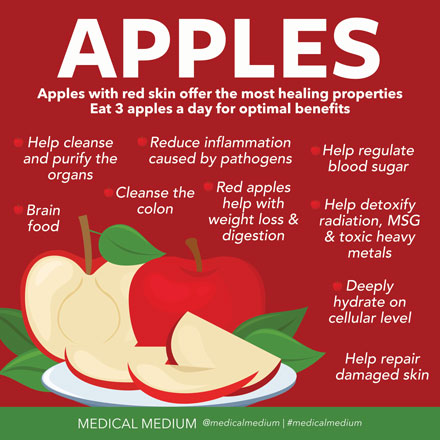 Apples are the ultimate colon cleanser. As the pectin from an apple moves through your gut, it collects and rids your body of microbes such as bacteria, viruses, yeast, and mold. Apples help with SIBO and other digestive disorders.

medicalmedium.com/blog/apples-co…