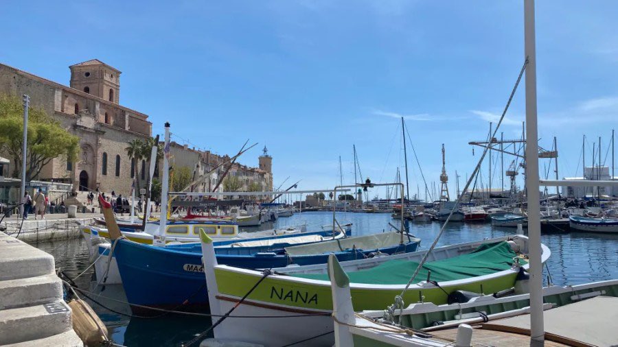 Besides the Obvious tweet media