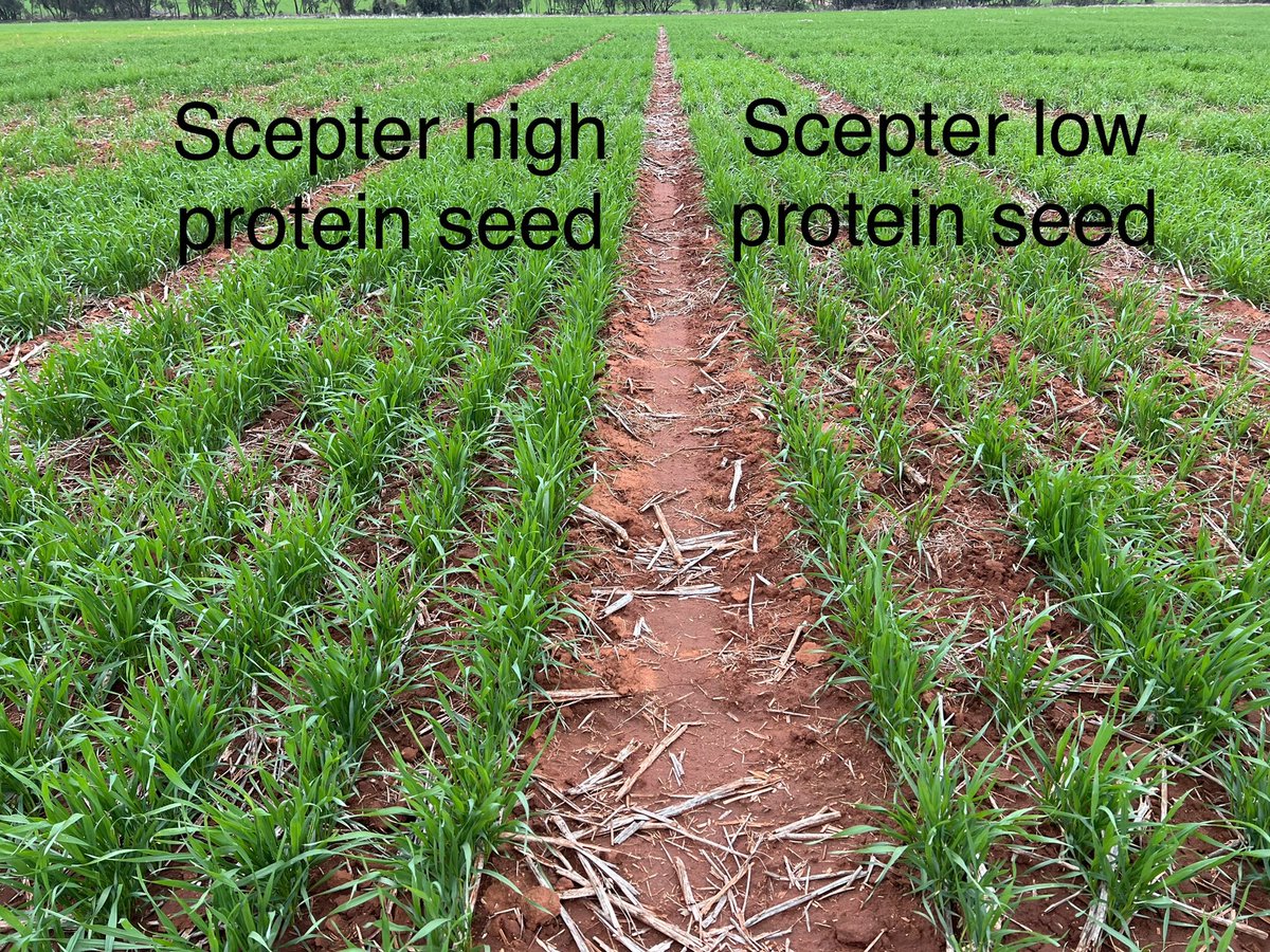 Barry Haskins tweet media