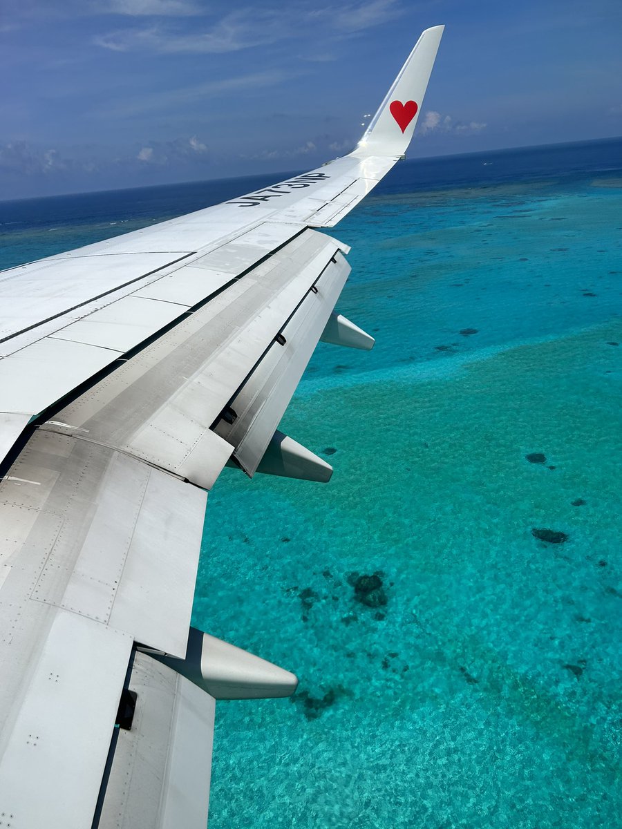 monkey_monkey_n's tweet photo. ✈️◎✨ https://t.co/SACFbWPcvT