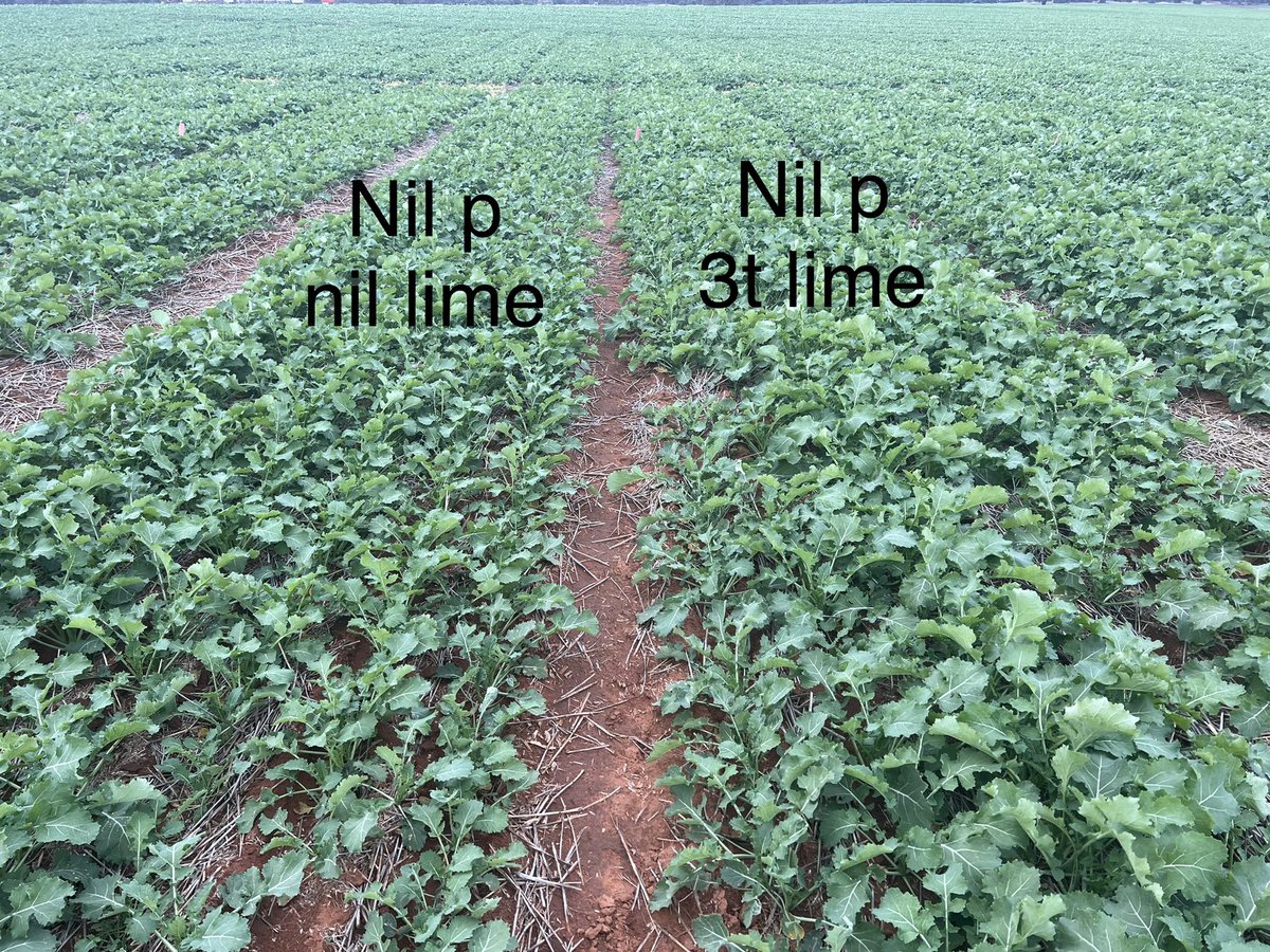 Barry Haskins tweet media