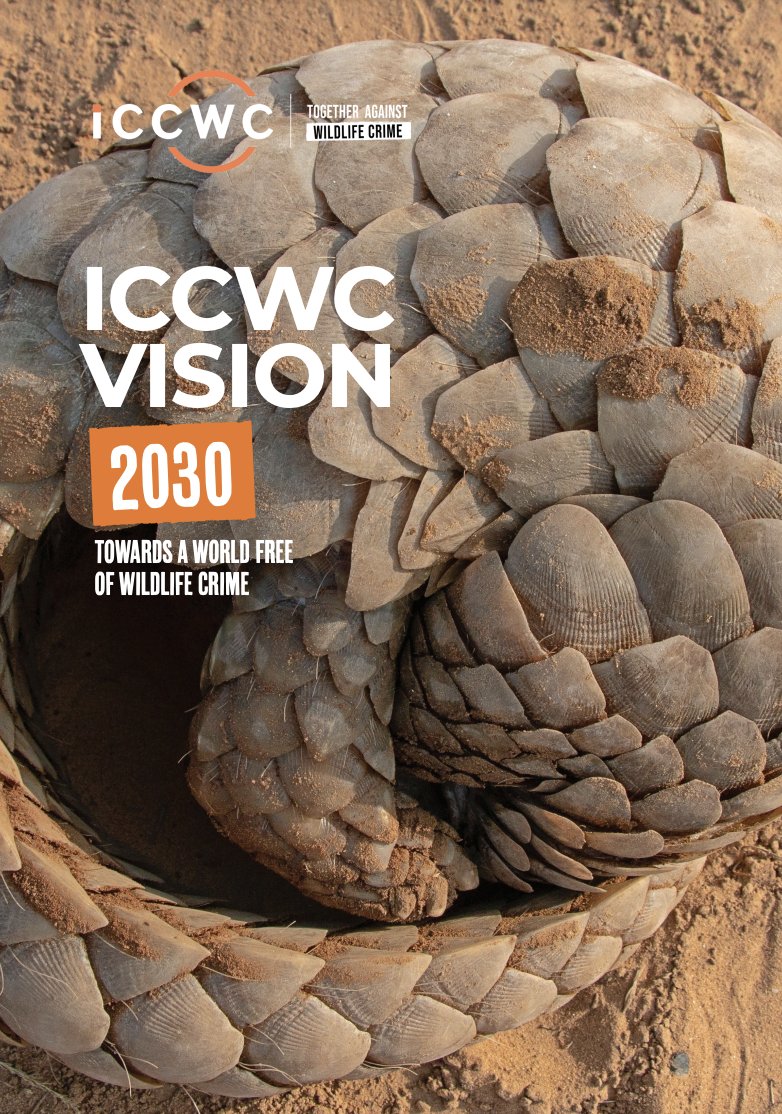 🌎Much has been achieved by countries across the globe over the past 2 years to combat #wildlifecrime. ➡️bit.ly/46fgQRJ

🌟We have an ambitious roadmap that will guide the work of #ICCWC: The ICCWC Vision 2030! ➡️bit.ly/3AyIM57 

#TogetherAgainstWildlifeCrime