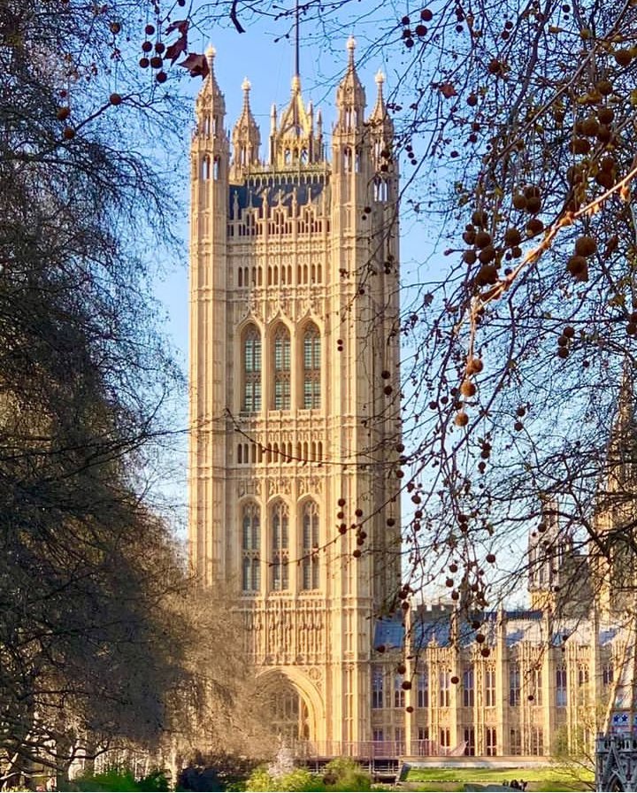 #VictoriaTower at the #HousesofParliament, #London. #AWNPugin. Wonderful 📷 by © @GreenbadgeG
✨
@SaveVTG
@UKParliament
@UKParlArchives

#pugin #augustuspugin #gothicrevival #palacewestminster #architecturelovers #design #housesofparliament #palaceofwestminster #puginwestminster