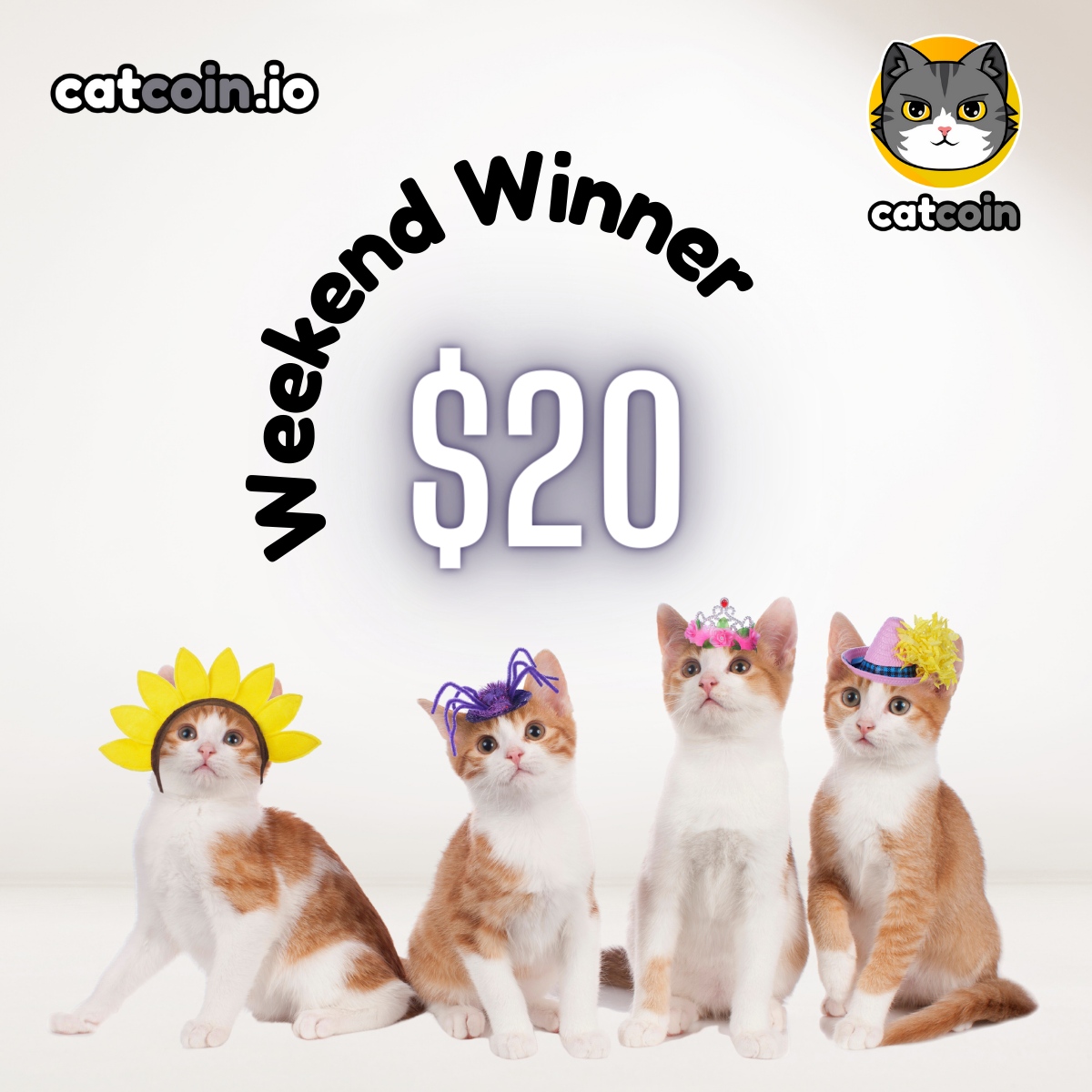 Weekend Winner time - $20! 

• Follow <a href="/officialcatcoin/">Official Catcoin</a>
• Retweet
• And comment #Catcoin #BUSD #giveaway

Ends June 24th at 8am UTC