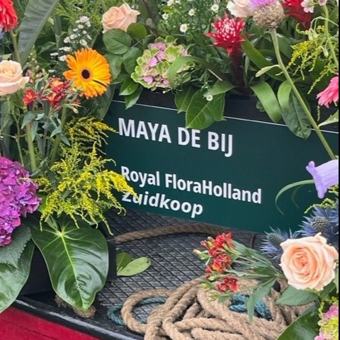 FloraHolland's tweet photo. Vandaag vertrekt de corsoboot van Royal FloraHolland om 13.00 uur vanaf Trade Parc Westland in Honselersdijk. Drie dagen lang varen er prachtig versierde boten met bloemen, planten en groenten door de wateren rond het Westland. Kom genieten!
#VarendCorso https://t.co/xn3zDdMDJb https://t.co/DNOFA3O3i9