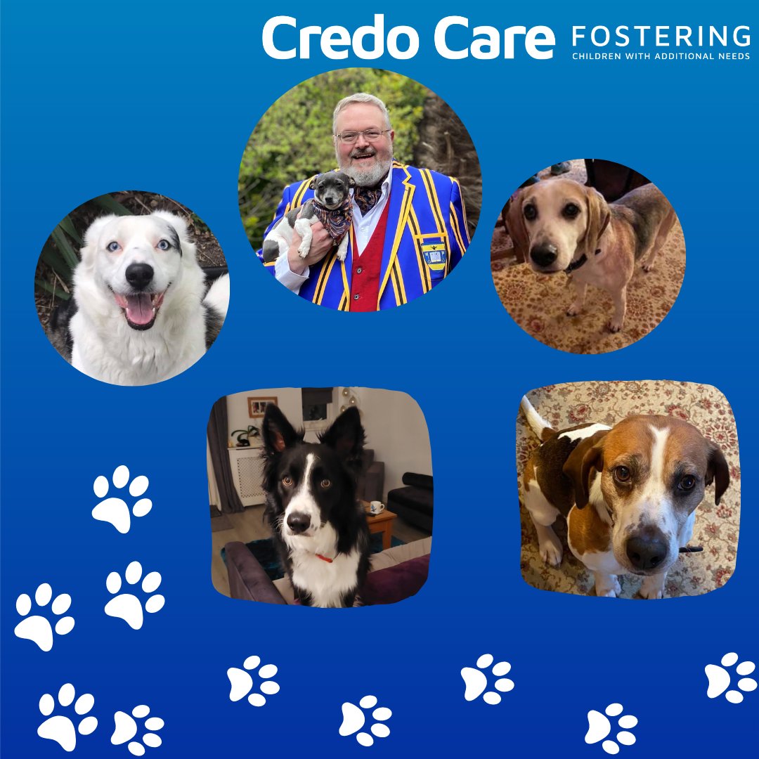 Today is Take Your Dog to Work Day, here are our little furry friends that keep us company! 🐶

#credocare #fostercare #specialistfostercare #fostercareawareness #fostering #diverse #nobarriers #disabilityawareneess #disabilityinclusion #disabilityfostering #furryfriends