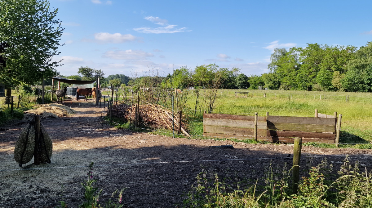 GL8 Media tweet media