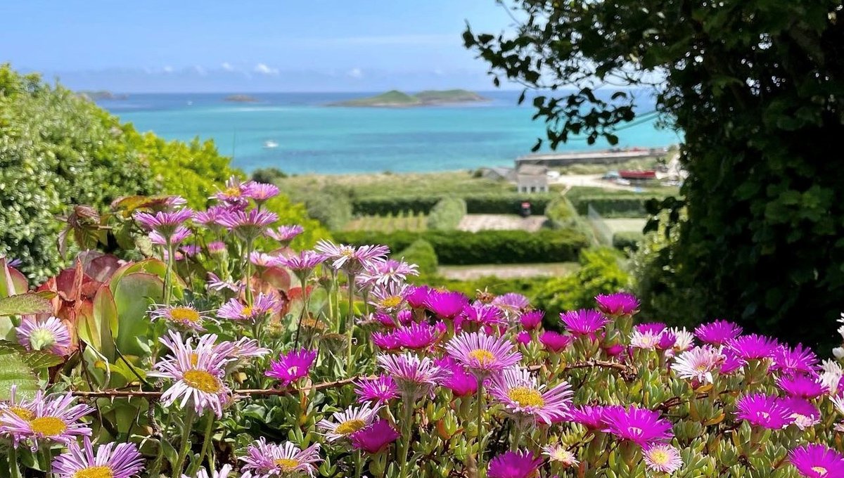 Got that #fridayfeeling? We have ❣️#friday #islandviews #seascapes #floral #blooms #beautiful #stunning #islandlife #coast #scilly #islesofscilly #cornwall #england #britishisles #theislandbreak #holidays #daytrips #daysout #staycation #experiences #explore