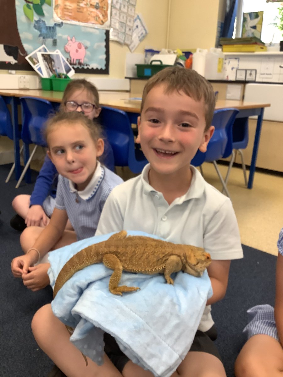 StMarysSchoolRC's tweet photo. Our Year 1 children were so brave with the animals! π #smrcscience https://t.co/OVGWpLPbB0