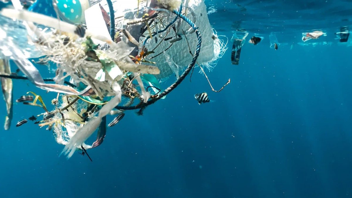 Aim Plastic Free tweet media