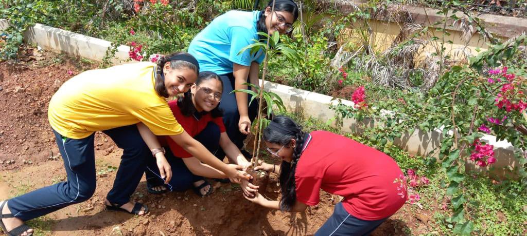 spnorthgoa's tweet image. 🌳Jnyan Vikas School kids and Member Sec, Pilerna Goa Bio-Diversity, planted 30 saplings at Porvorim PS. A great collaboration fostering environmental awareness and community involvement. Together, we create a greener, sustainable future🌱🌍 #CommunityPlanting #SustainableFuture