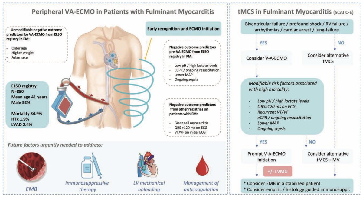 Nunez et al. Report on 850 patients with fulminant myocarditis requiring VA-ECMO in Circ HF (ELSO-database). Pleased to be invited to a Circ HF editorial providing an MCS-flowchart for this important disease. @AmmiratiEnrico @EuroELSO @Cardio_KULeuven @CircAHA