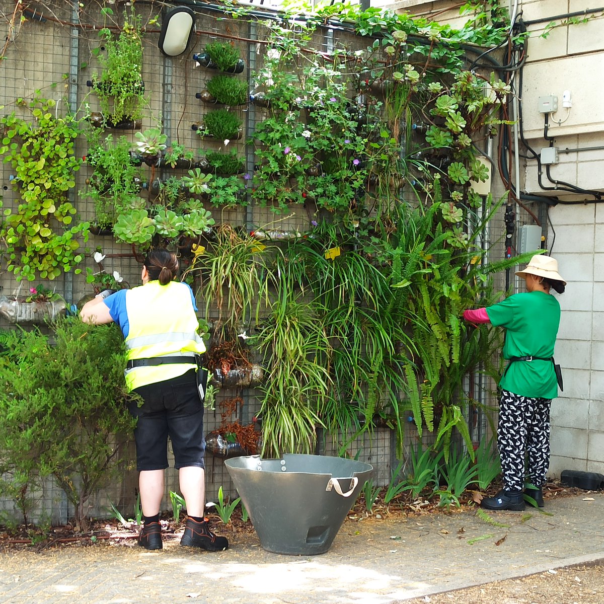 CIFO Santa Coloma (@cifosantacoloma) on Twitter photo Alumnes del curs d'activitats aux. en vivers comencen la seva formació pràctica al jardí
Propers cursos:
- Instal·lació i manteniment de jardins i zones verdes
- La xerojardineria: la jardineria per climes secs
- Jardins Verticals
934665830 o cifo_santacoloma.soc@gencat.cat Alumnes del curs d'activitats aux. en vivers comencen la seva formació pràctica al jardí
Propers cursos:
- Instal·lació i manteniment de jardins i zones verdes
- La xerojardineria: la jardineria per climes secs
- Jardins Verticals
934665830 o cifo_santacoloma.soc@gencat.cat
