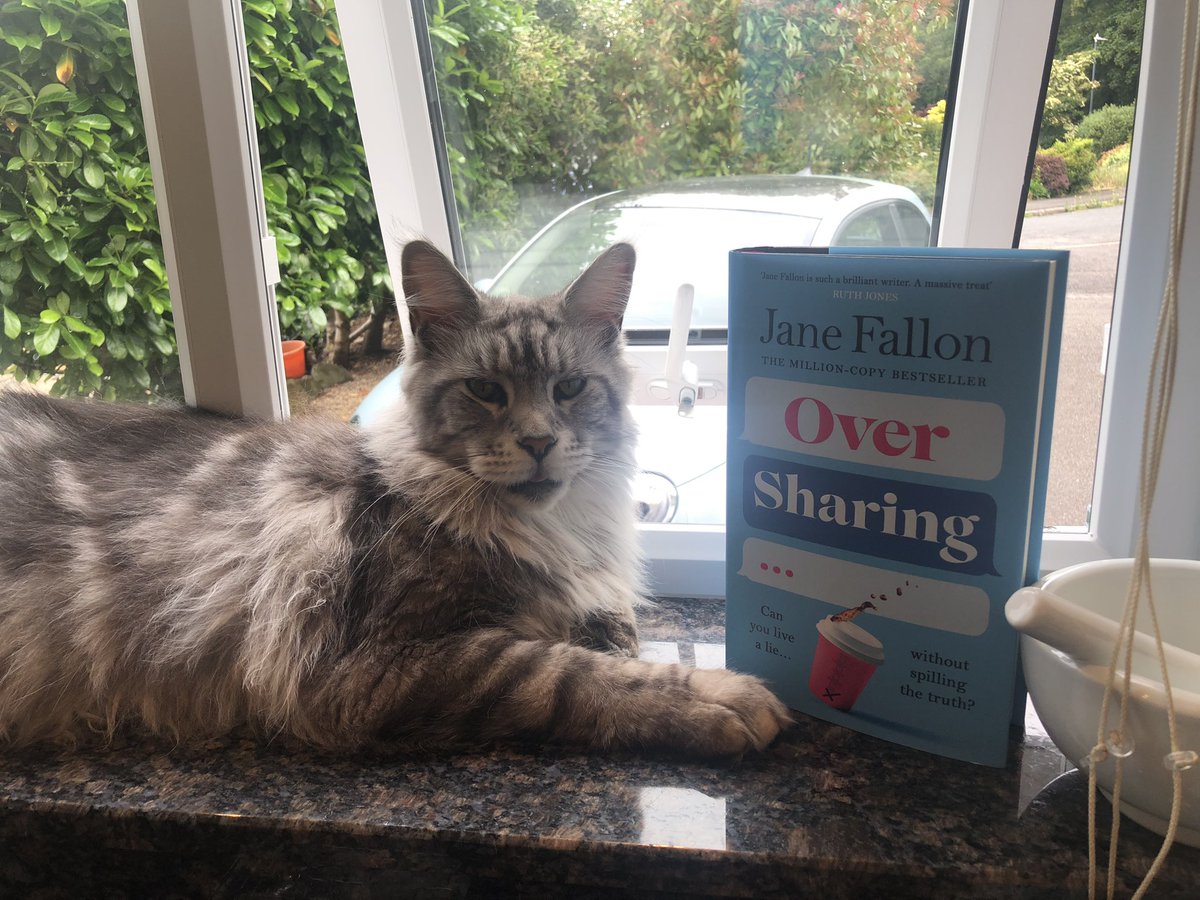 Me again @JaneFallon … I didn’t realise my babies were so competitive … soon as Monty saw all the likes Molly has been getting since my earlier post … he wanted in on the act, so what can you do? #PromoPets #OverSharing