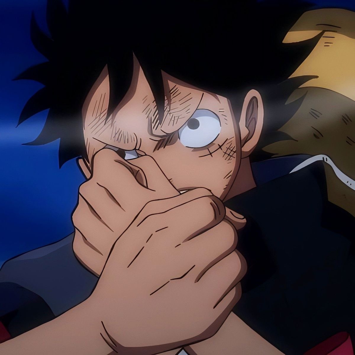 luffy_pics tweet picture