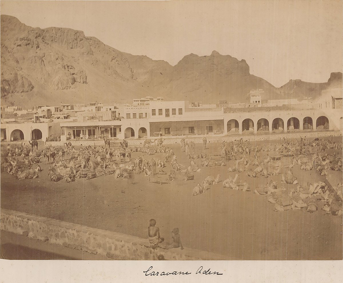 Osmanlı Dönemi #Yemen Aden, 1890
#عدن #اليَمَن