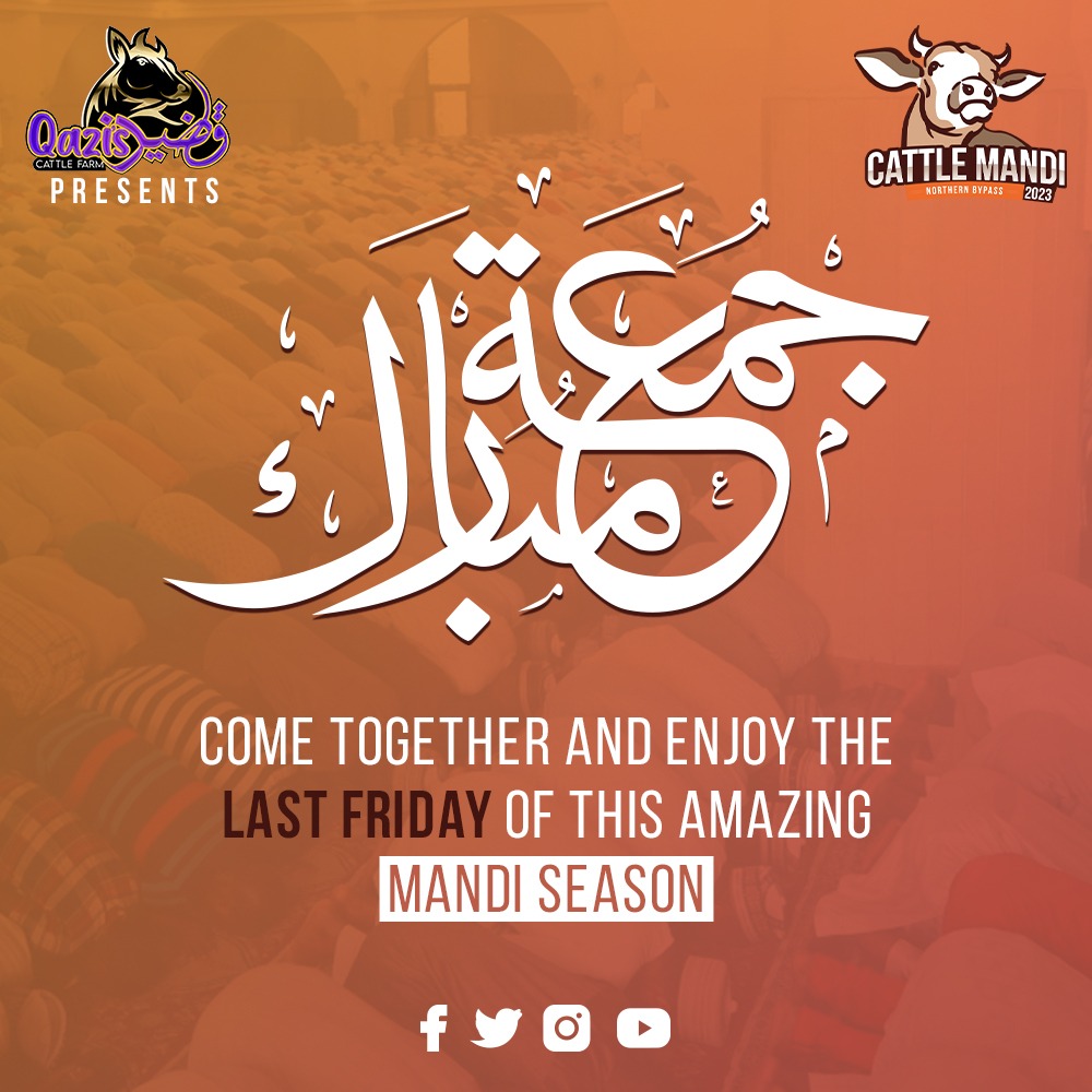 cattlemandi2023's tweet photo. Jumma Mubarak ❤ Counting down the final moments of an unforgettable Mandi season.
.
.
#cattlemandi2023 #LatestNews #LatestUpdate #cowlovers #JummaMubarak #EidulAdha23 https://t.co/HVdycXWeUt
