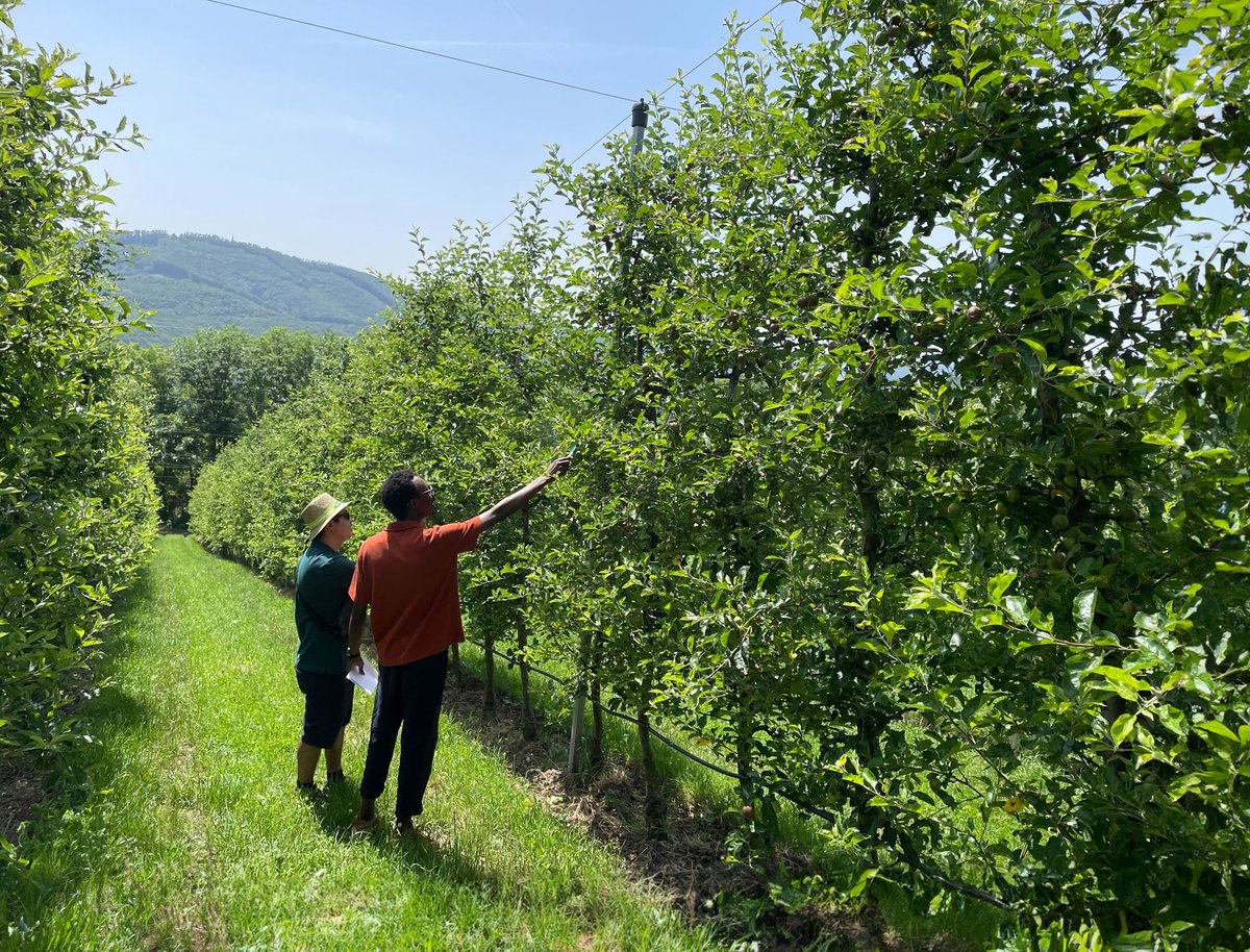 Pixofarmapp's tweet photo. 🚀This week, we had the opportunity to visit HBLA Klosterneubau, a renowned school specializing in fruit growing. We were thrilled to showcase our Pixofarm app right in the heart of the orchard, allowing the students to experience Pixofarm firsthand. #YouthInAg  #FutureOfFarming https://t.co/ygzg4rrUtc