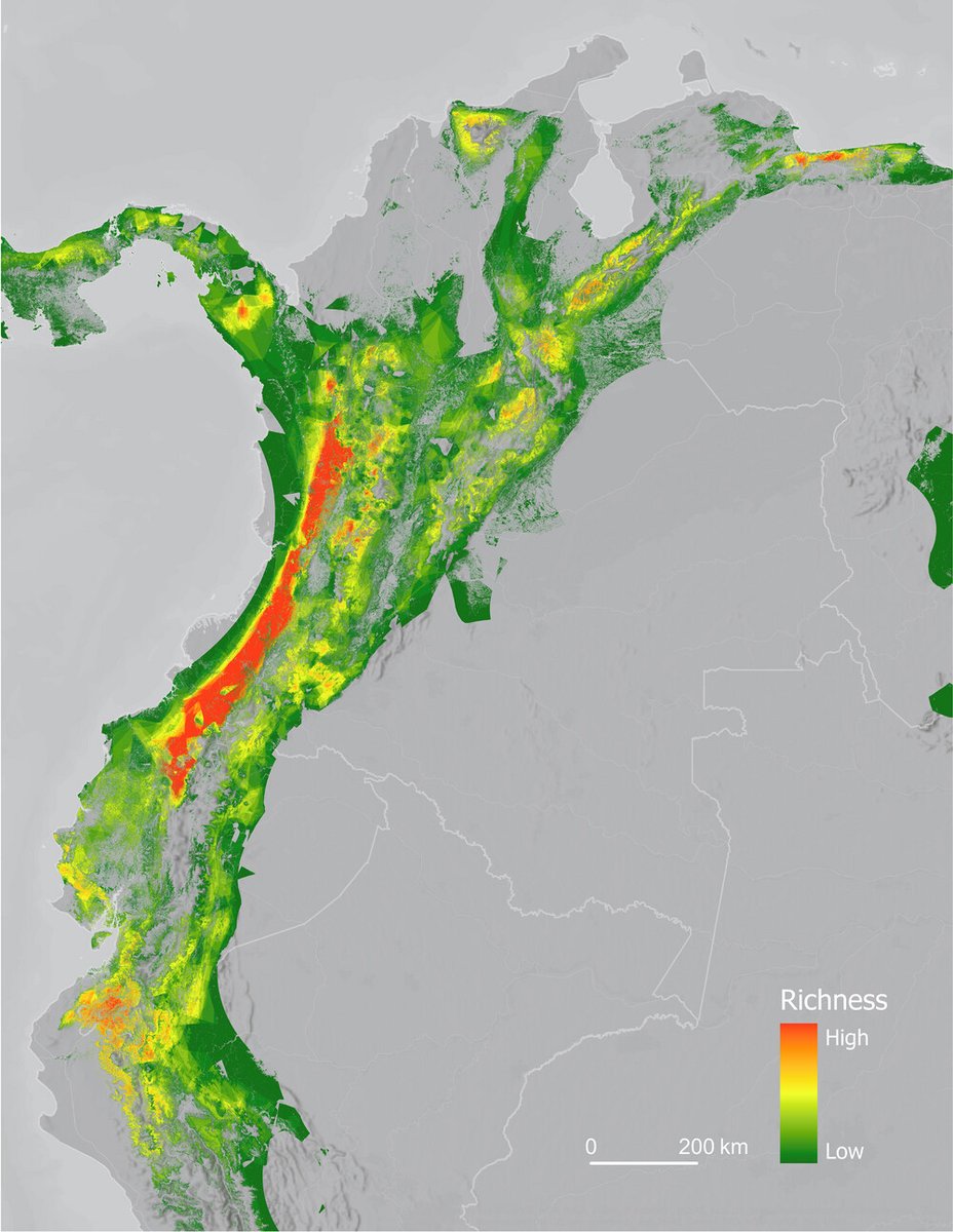 🐦In this #recentlypublished study, Medina, Huang, and Pimm found two sets of crowd-sourced data illustrate that #bird ranges are moving up-slope throughout the Northern #Andes.🌄 Read more at doi.org/10.1111/cobi.1…

#conservation #birdconservation #science