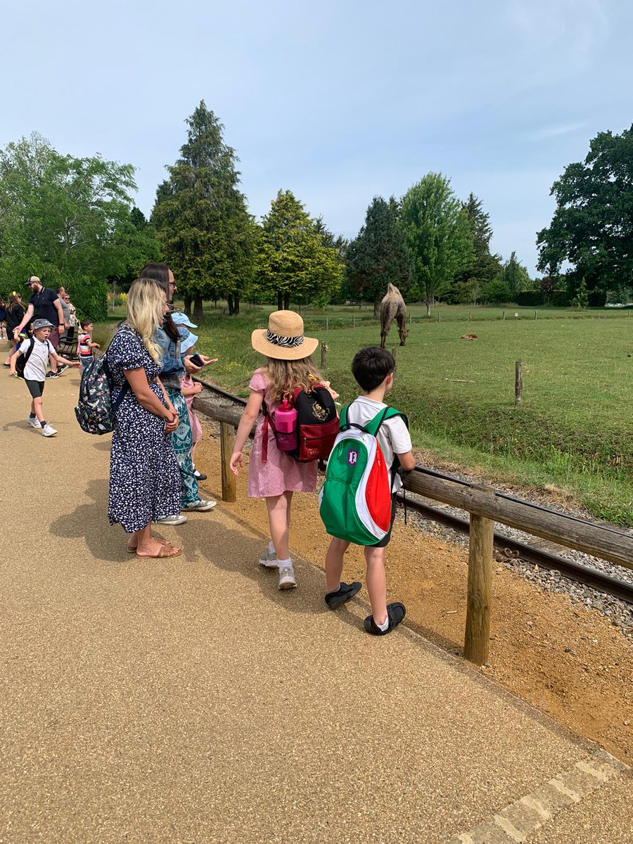 Wantage CE Primary School tweet media