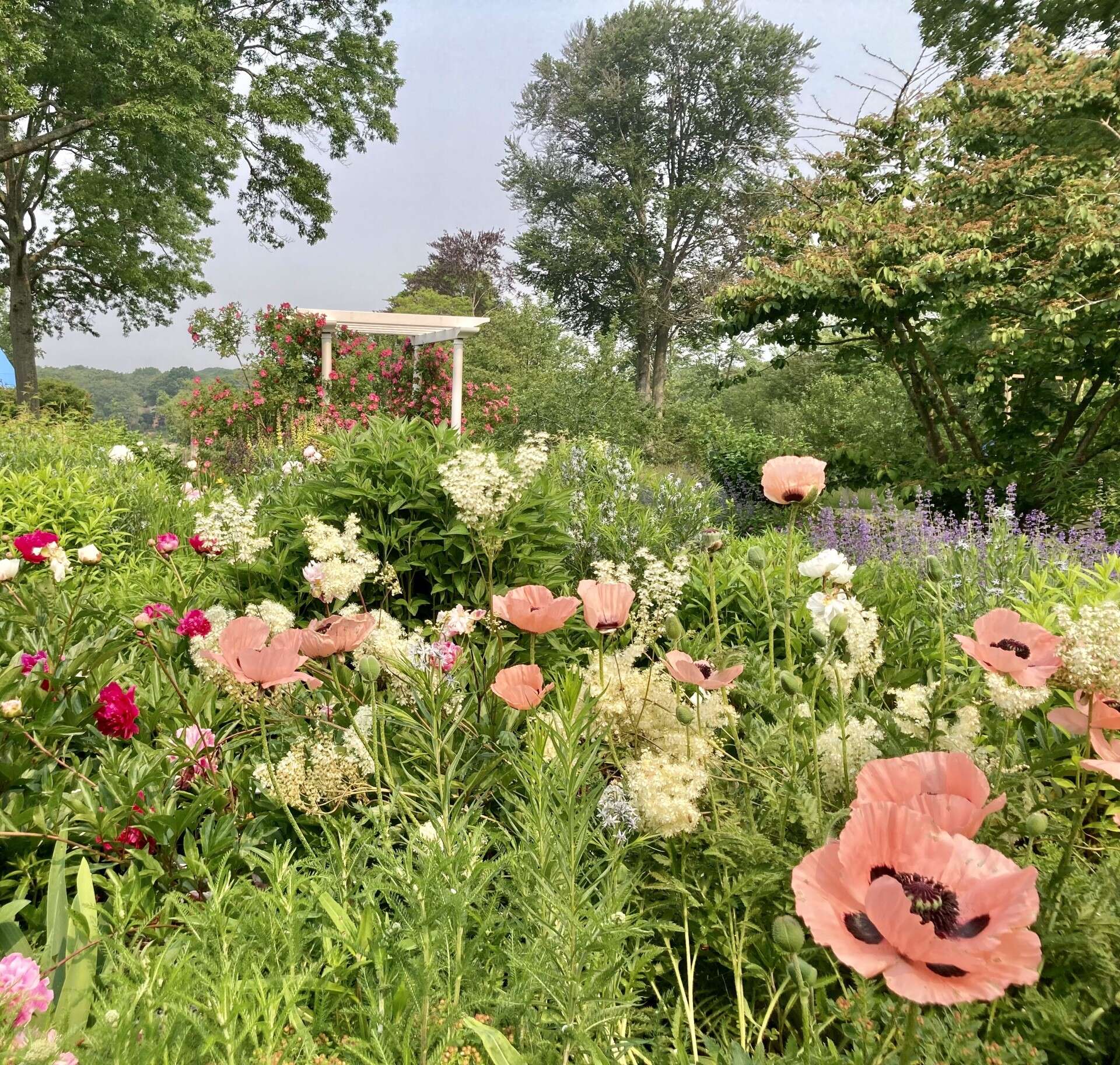 The Source on Twitter "As we dive into summer, three historical