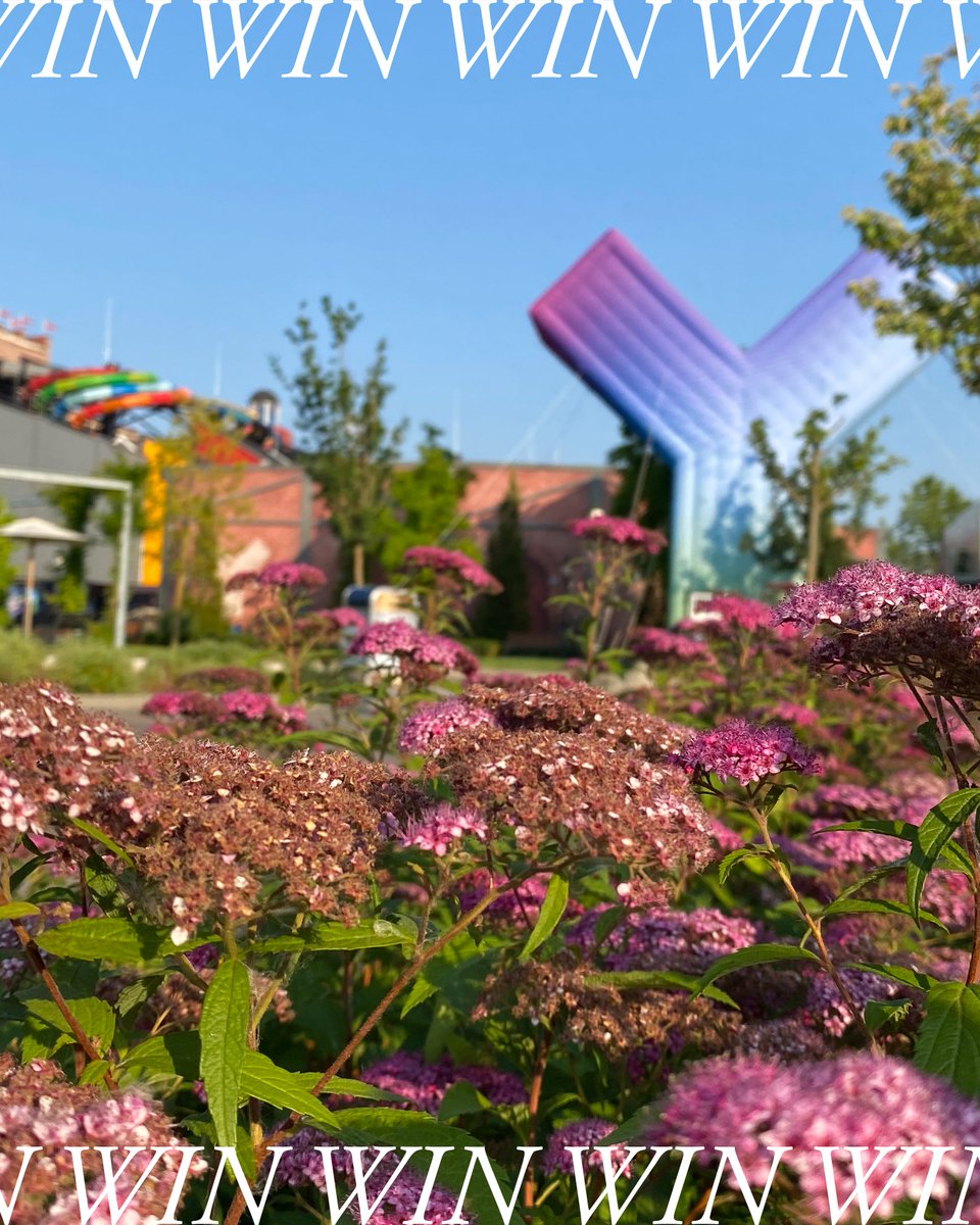 Have you heard about our big #YULLBE summer competition on Instagram?🤩We are giving away 2x2 YULLBE PRO tickets and 3x2 YULLBE GO tickets for our location in #Rust! Find out more on our Instagram profile!