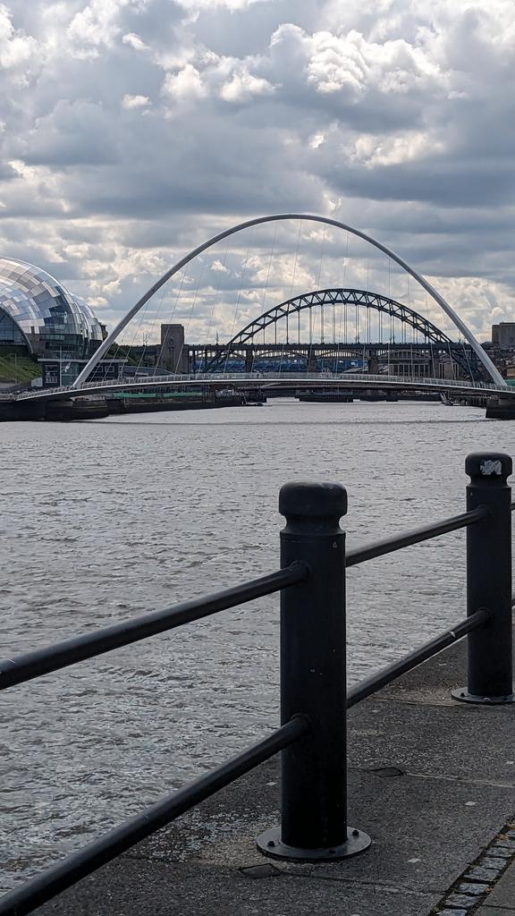 Today marks the end of #SEFS13. As this conference draws to a close in the beautiful city of #Newcastle, I'd like to thank @freshwaterbio and members for welcoming me into the #freshwater community and celebrating the exciting research that was shared. #PhD #ecology #Science