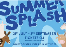 Issue 539 of aboutfram is a riot of colour! - mailchi.mp/aboutfram/issu…