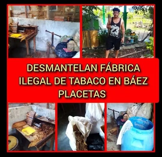 #VillaClara| #ConLaFuerzaDelPueblo desmantelan fábrica ilegal de tabacos. #MinintCuba 

La #VigilanciaRevolucionaria no se descuidará jamás. #HeroesDeAzul #CreoEnTi 

🔗#FuerzaDelPueblo 👉 facebook.com/10009259832561…