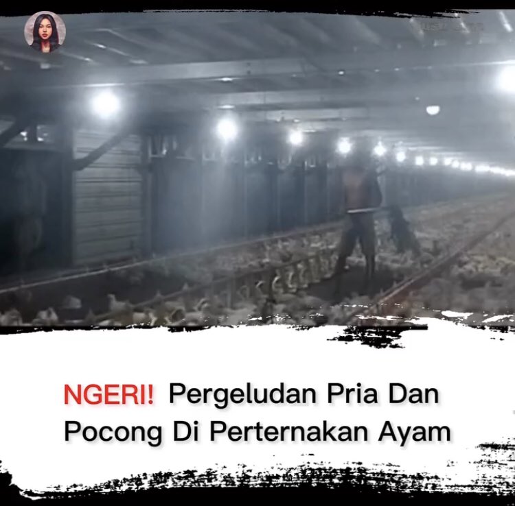 Gusti Gina tweet media