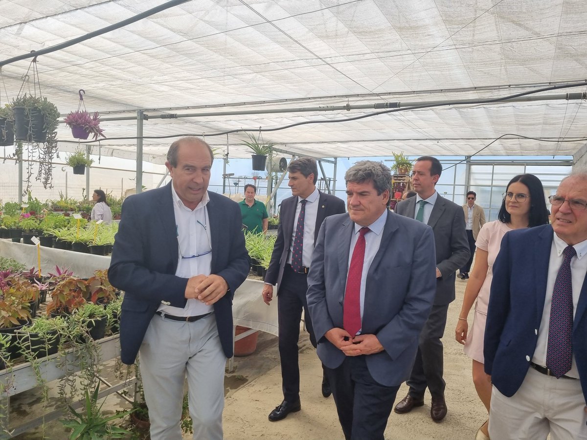 José Luis Escrivá tweet media