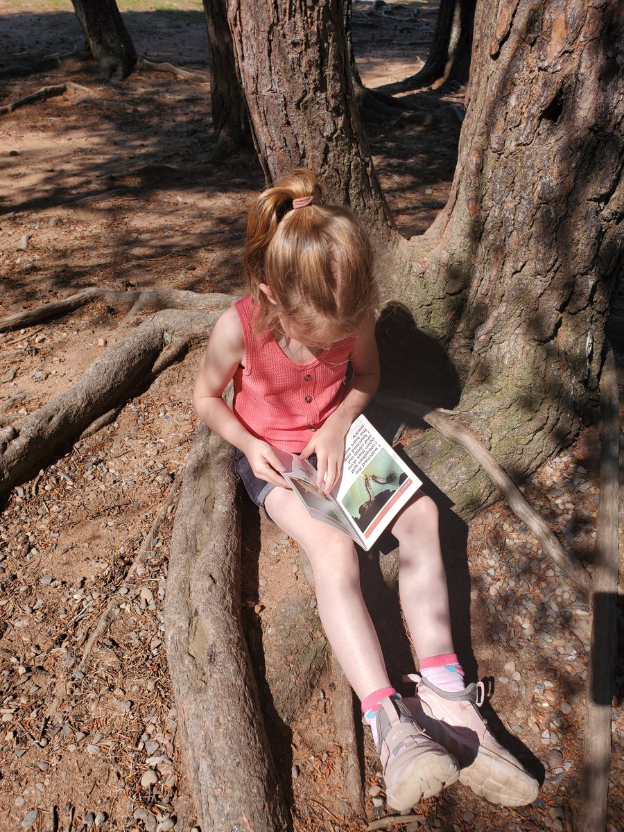 GillBaskwill's tweet photo. We're celebrating The Gruffalo all day! Reading in the deep dark wood is the best! @SMES01 #kindergarten #havefunlearning https://t.co/GrvVBJmnho