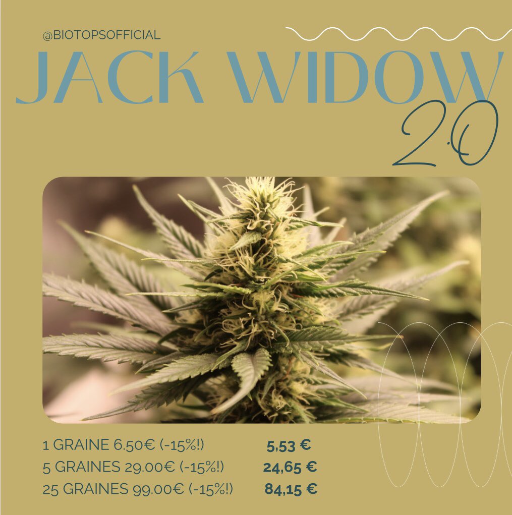 Biotops_es's tweet photo. #jackwidow #CannabisCommunity #cannabisindustry #cannabis https://t.co/pfCn3YKnPP