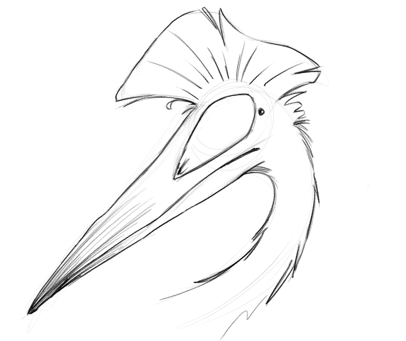 Random_McGuffin's tweet photo. cool prehistoric bird for #prehistoricbirdfriday lmao https://t.co/q3jAbDwBvW
