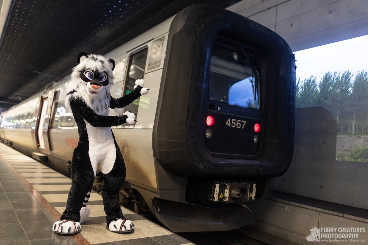 Everyone please board the weekend train is ready to depart. 🛤

Happy #FursuitFriday everyone! 🎉

🪡: @Zuri_Studios 
📸: @FurCPhoto 
🗺️: #NFC2023 ➡️ Malmö Centralstation