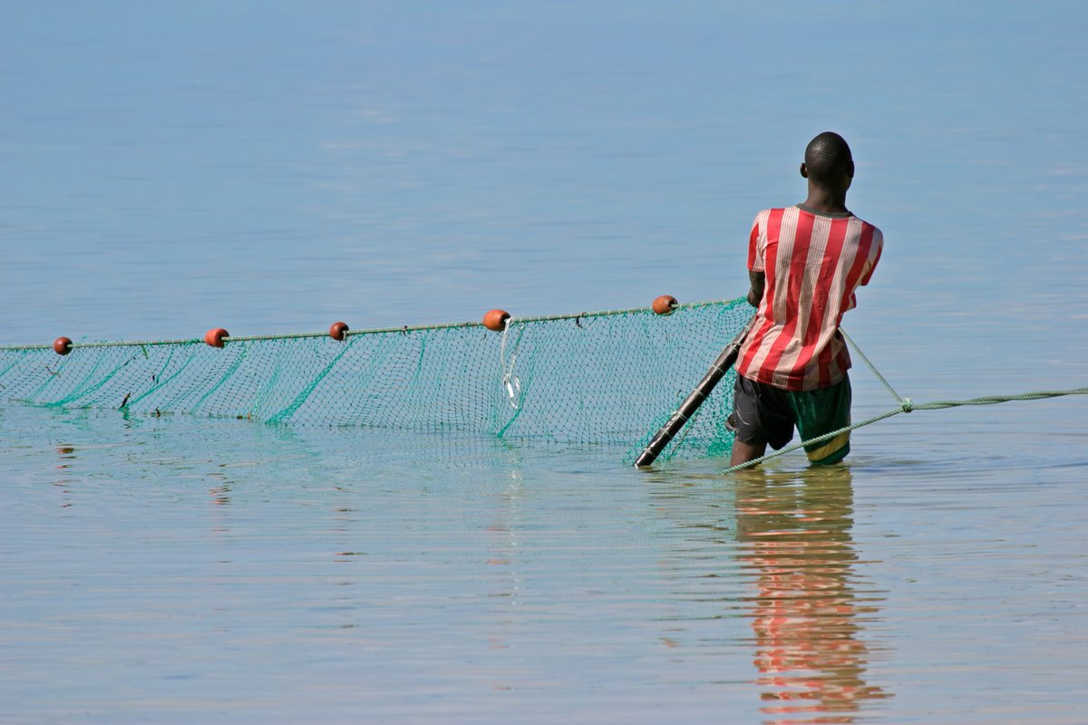 World Bank Group AgriFood tweet media